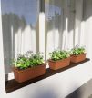 Sötét tölgy, Egyedi, festett Párkány Fa hatás 20cm (max.200cm)